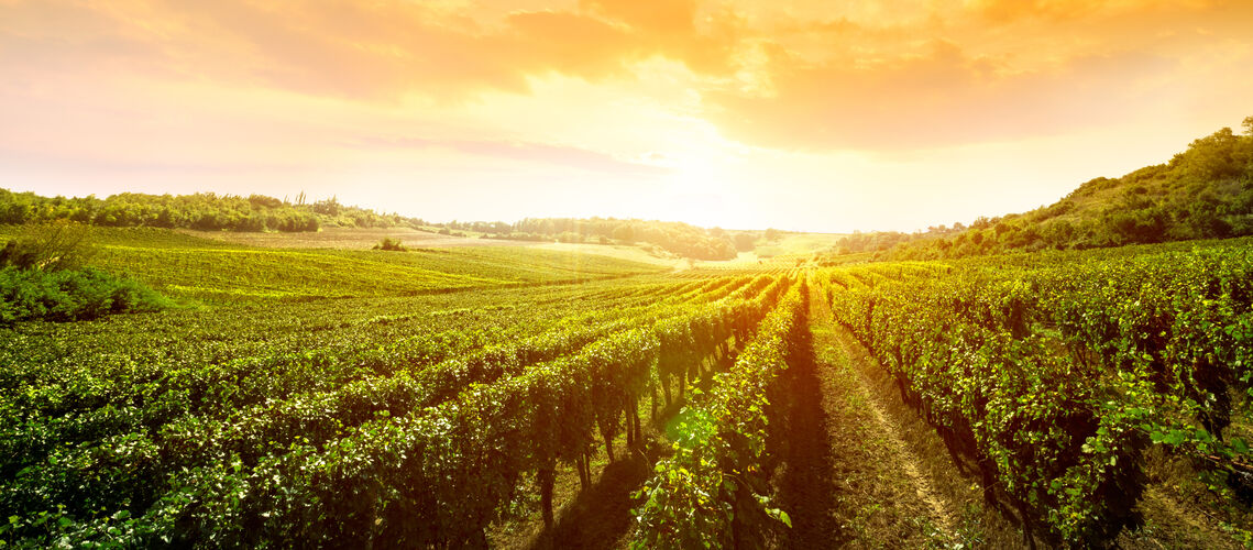 Expert-comptable Agriculteur Arcachon